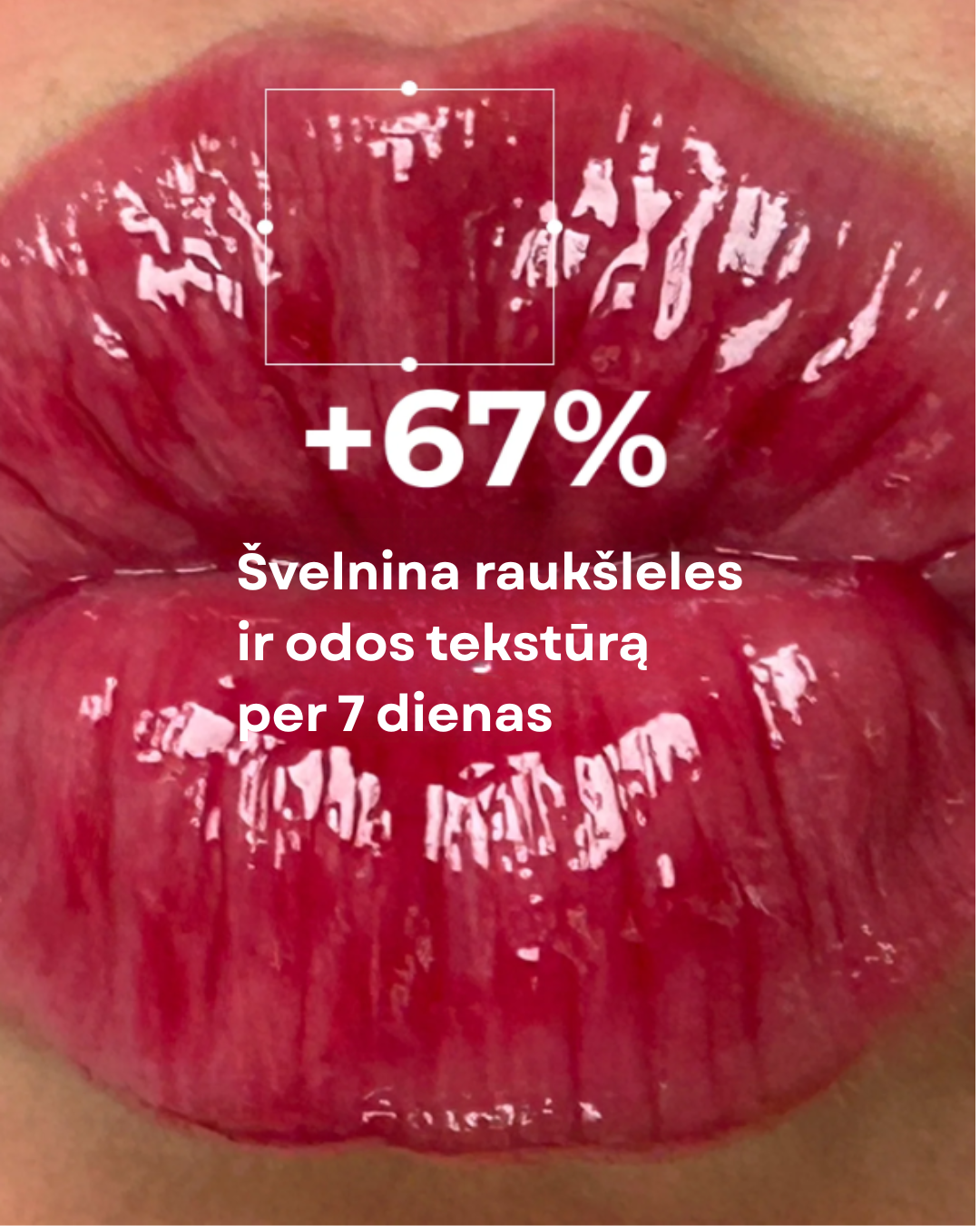 Lūpų balzamas su peptidais ir hialuronu „Mulled Vine“, 10 ml