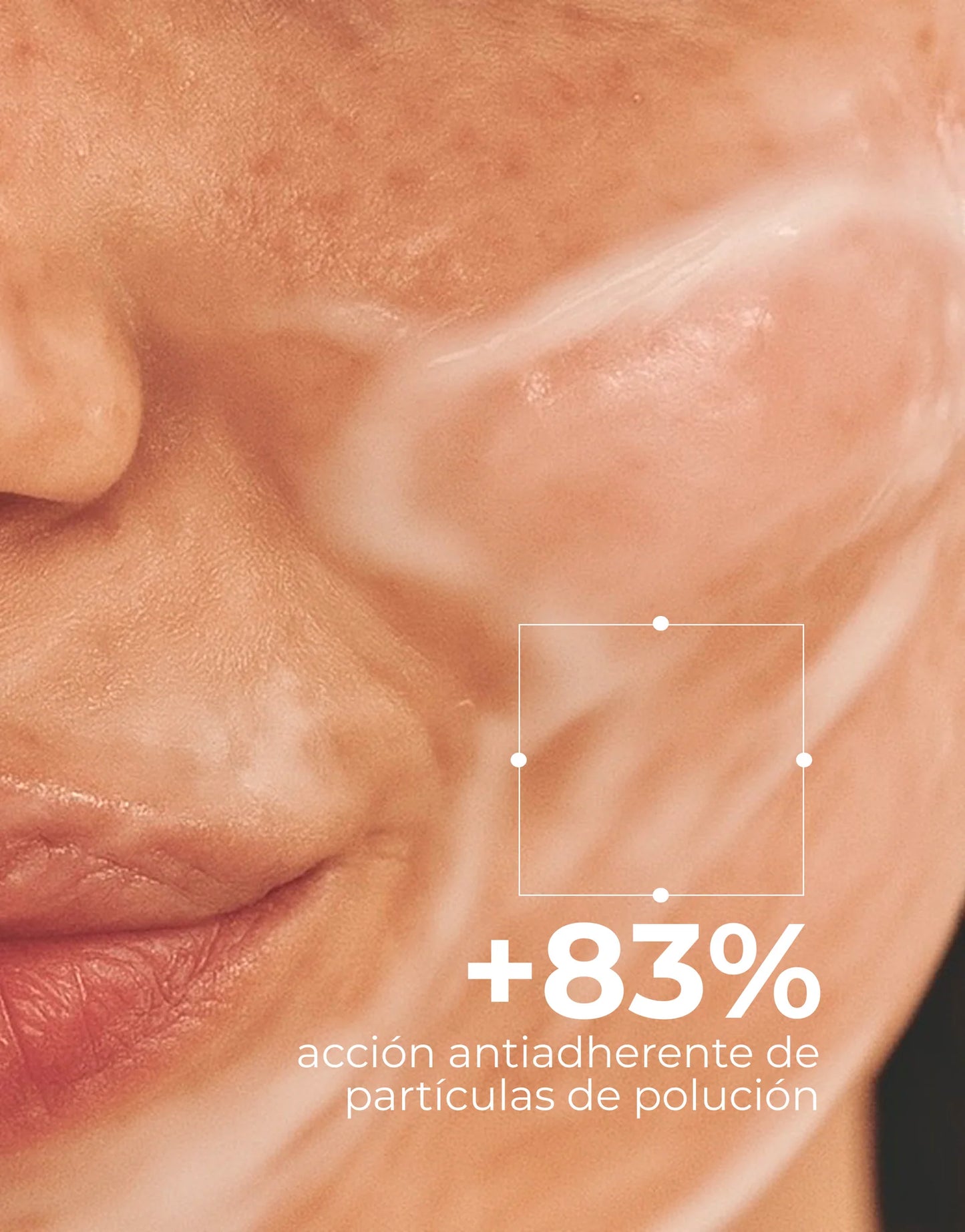 SEGLE Šviesinantis ir drėkinantis, tonizuojantis pienelis veidui , 150 ml