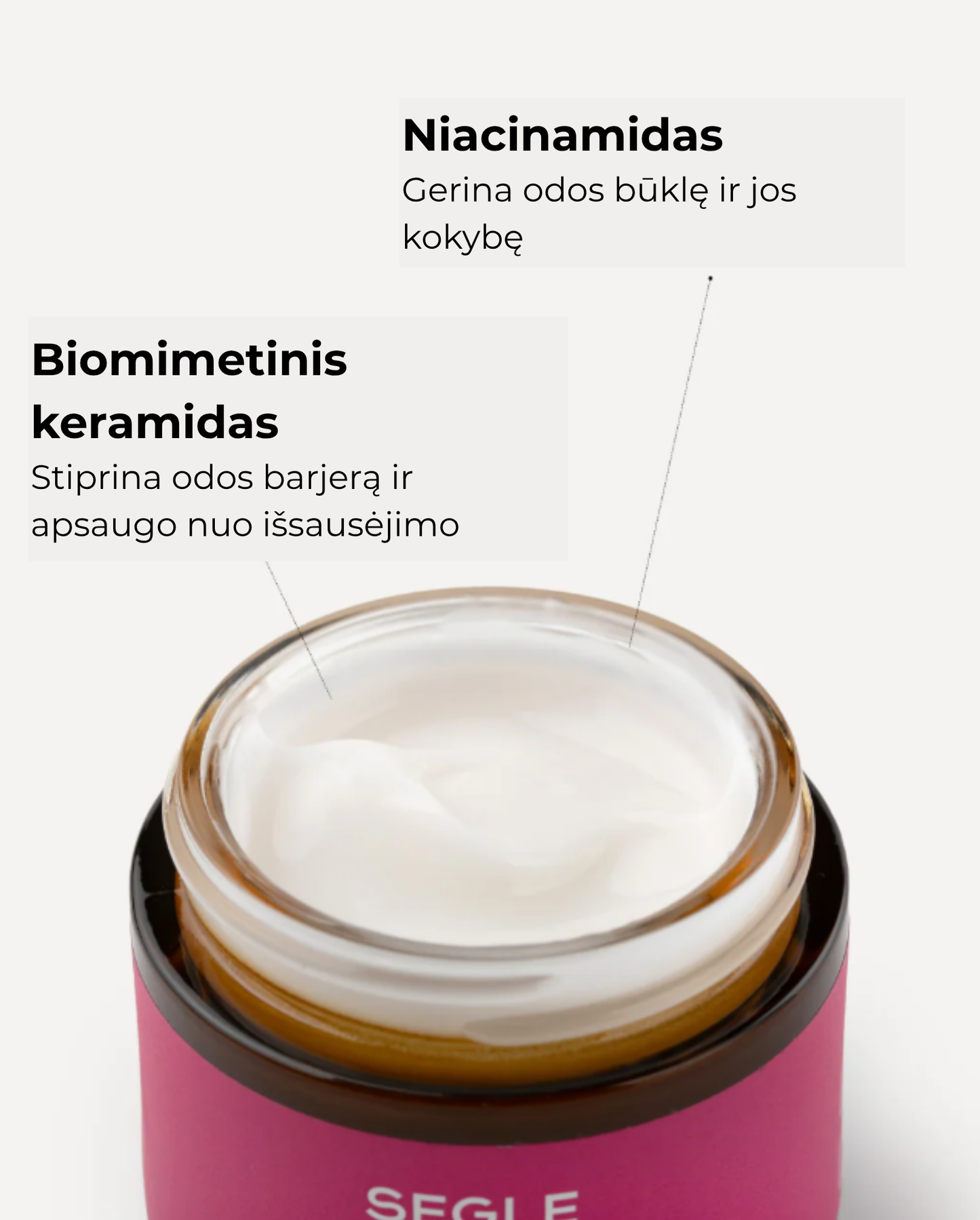 SEGLE Senėjimą stabdantis veido kremas su NAD⁺ ir kolagenu, 50 ml